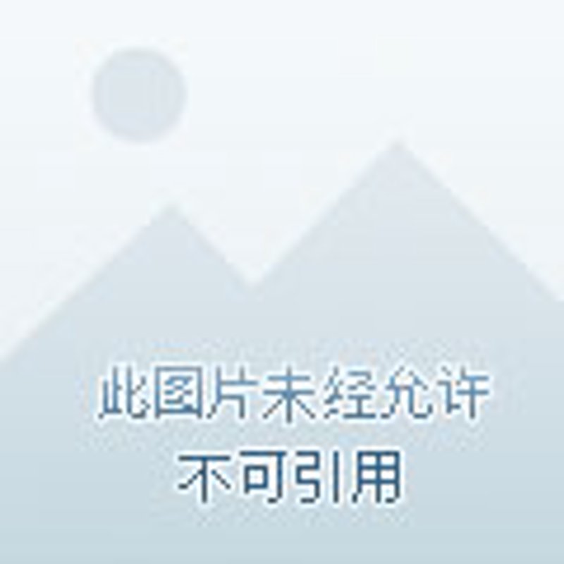 多功能透视:洞悉商业世界的多面镜像